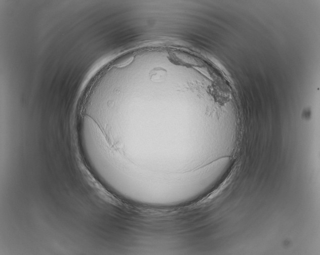 X0000116781122201001281116