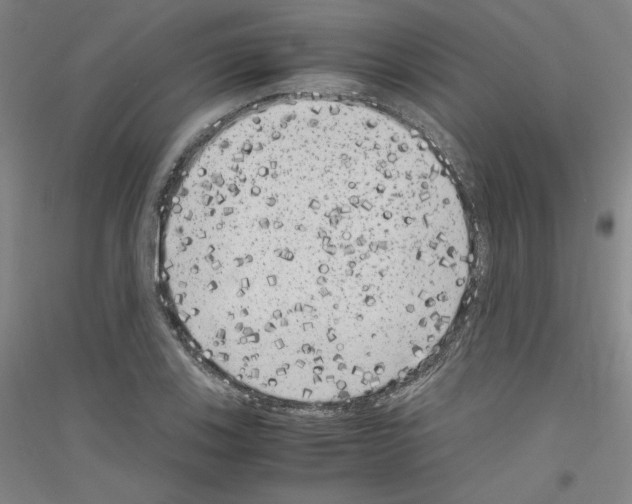 X0000116781123201001281116