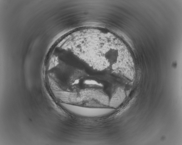 X0000116781125201001281116