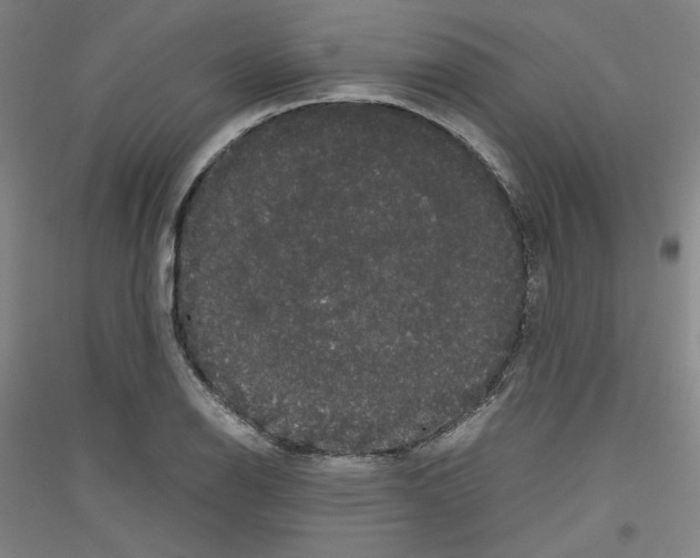 X0000116781126201001281116