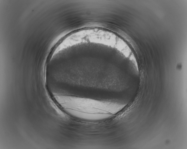 X0000116781127201001281116