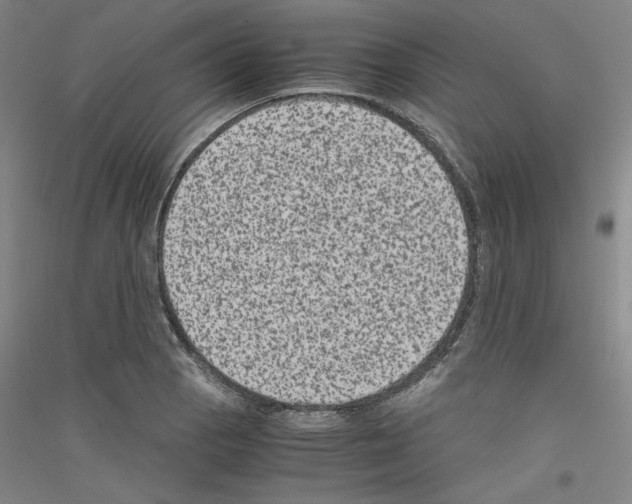 X0000116781129201001281116