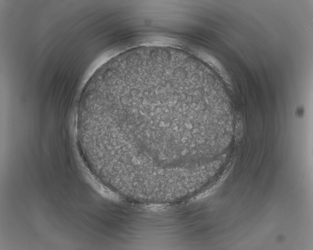 X0000116781130201001281116