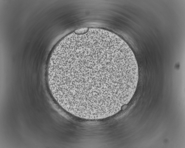 X0000116781134201001281116