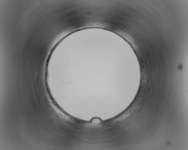 X0000116781135201001281116