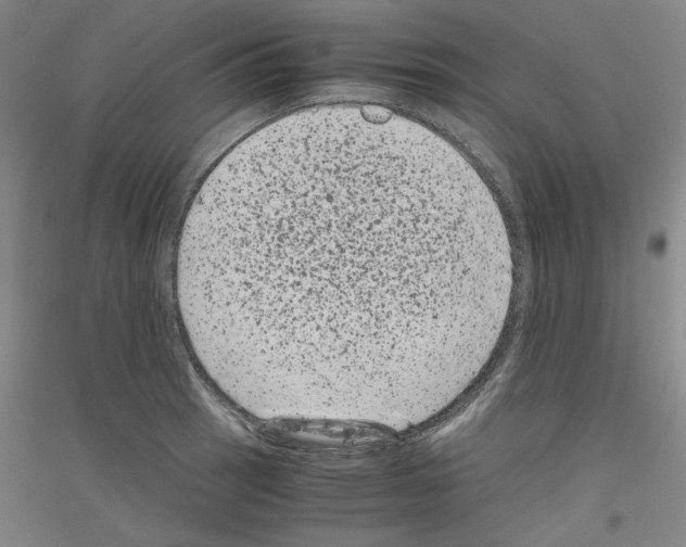 X0000116781137201001281116