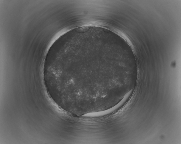 X0000116781138201001281116