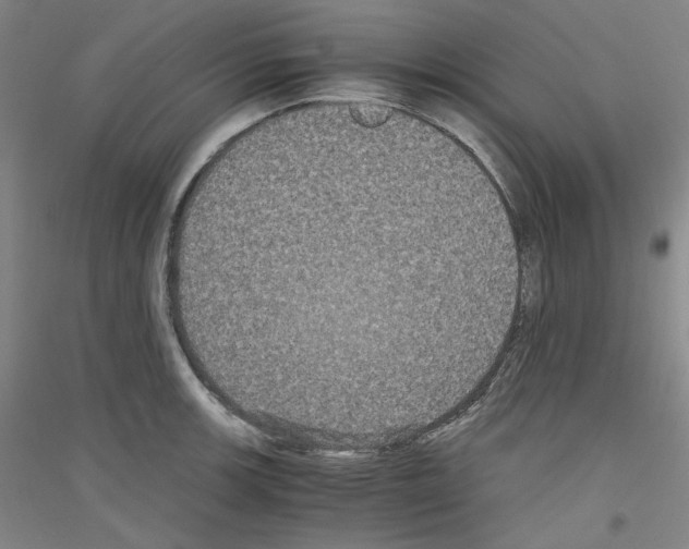 X0000116781139201001281116