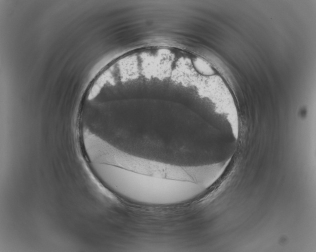 X0000116781141201001281116