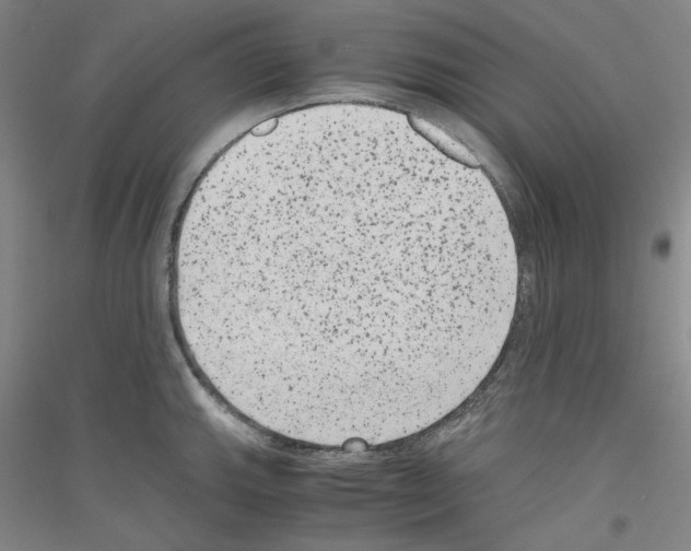 X0000116781143201001281116