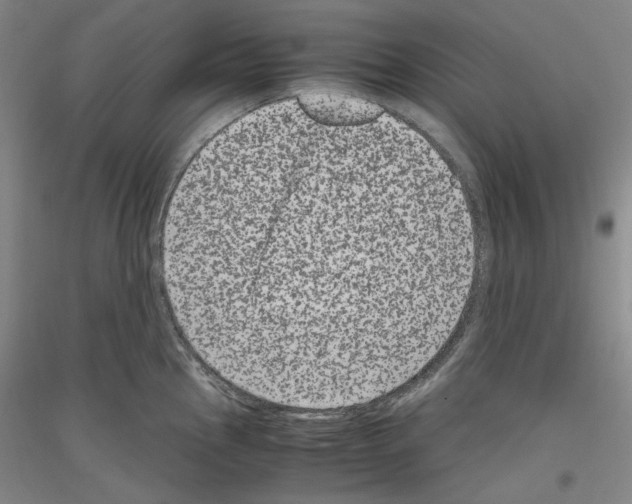 X0000116781145201001281116