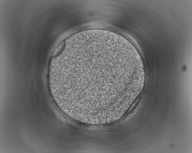 X0000116781146201001281116