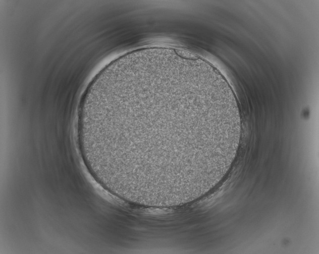 X0000116781147201001281116