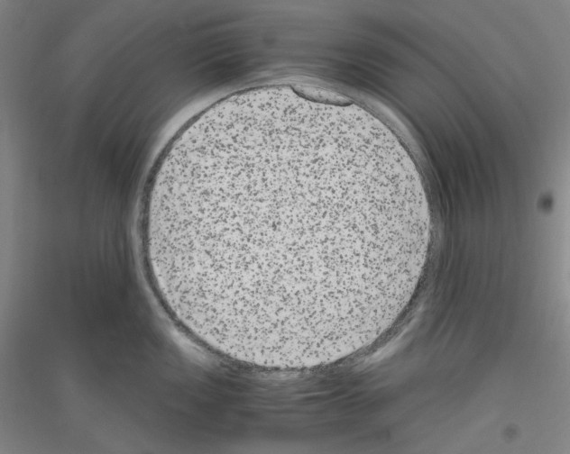 X0000116781149201001281116