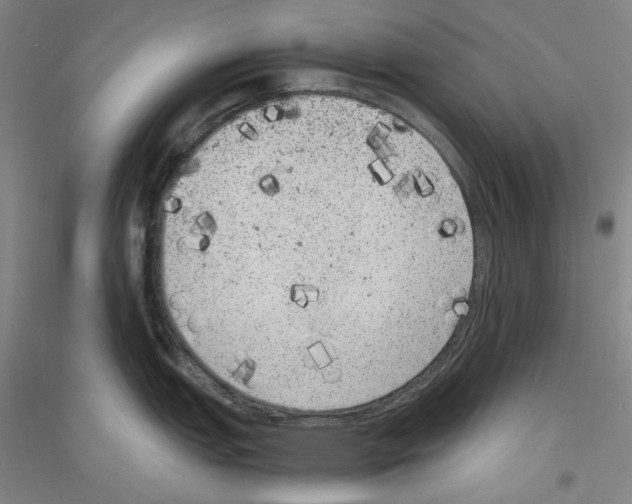 X0000116781151201001281116