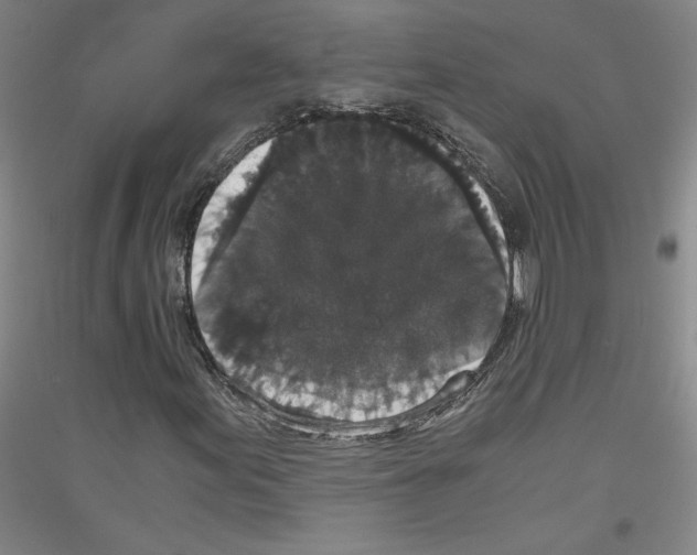 X0000116781155201001281115