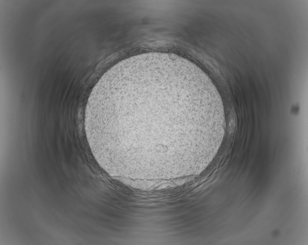 X0000116781156201001281115