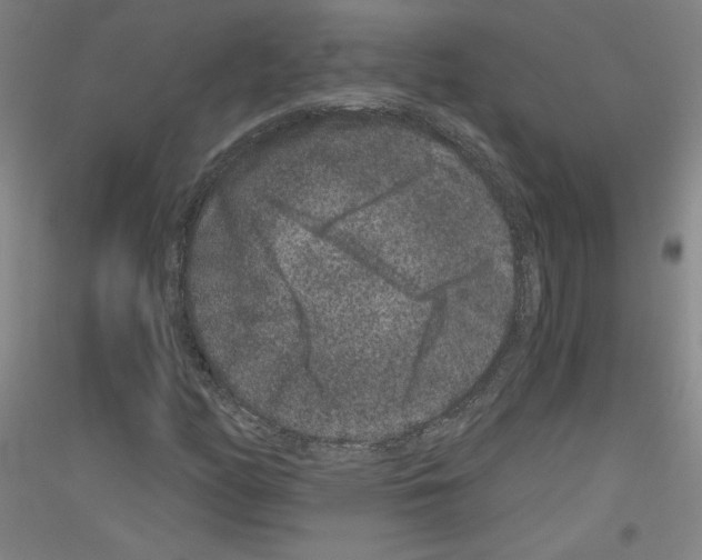 X0000116781158201001281115