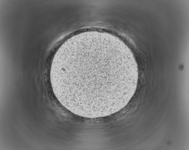 X0000116781159201001281115