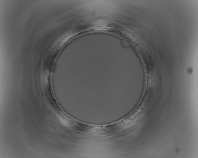 X0000116781161201001281115