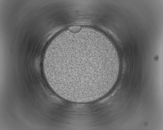 X0000116781162201001281115