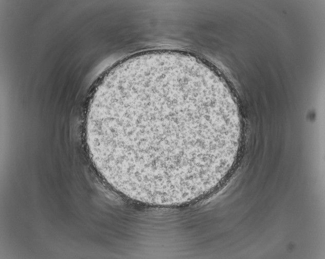 X0000116781163201001281115