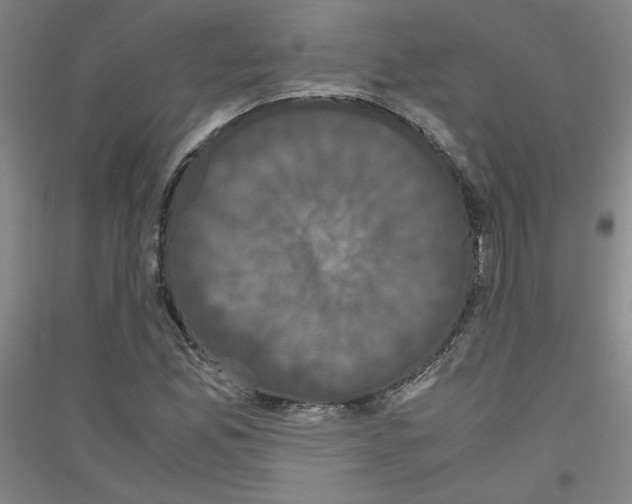 X0000116781165201001281115