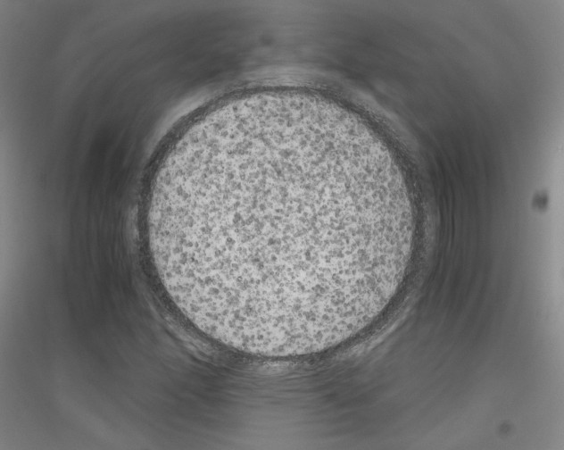 X0000116781166201001281115