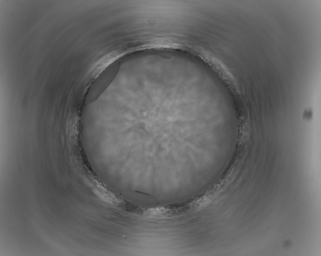 X0000116781169201001281115