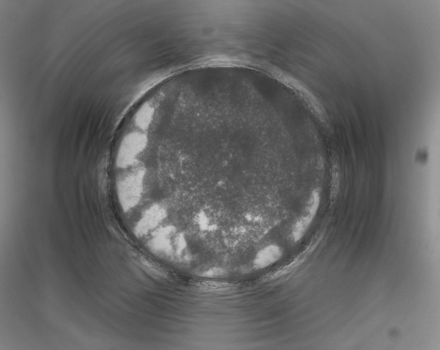 X0000116781170201001281115