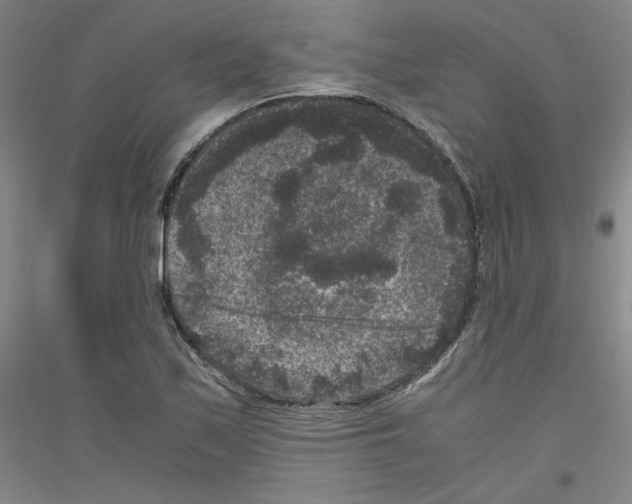 X0000116781171201001281115