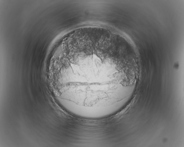 X0000116781172201001281115