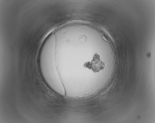 X0000116781173201001281115