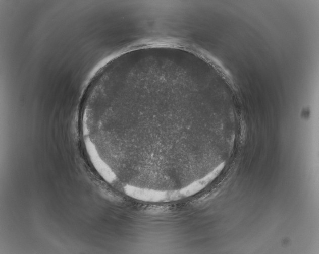 X0000116781174201001281115