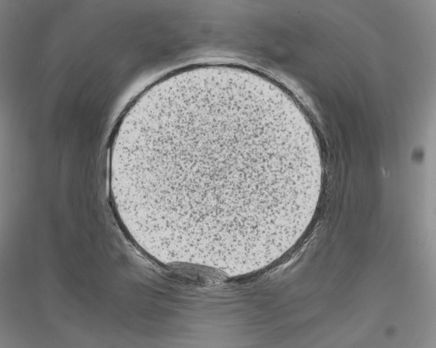 X0000116781175201001281115