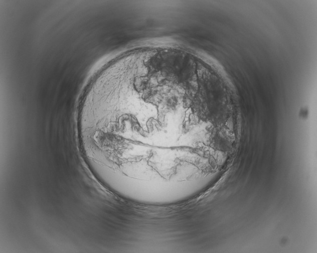 X0000116781176201001281115