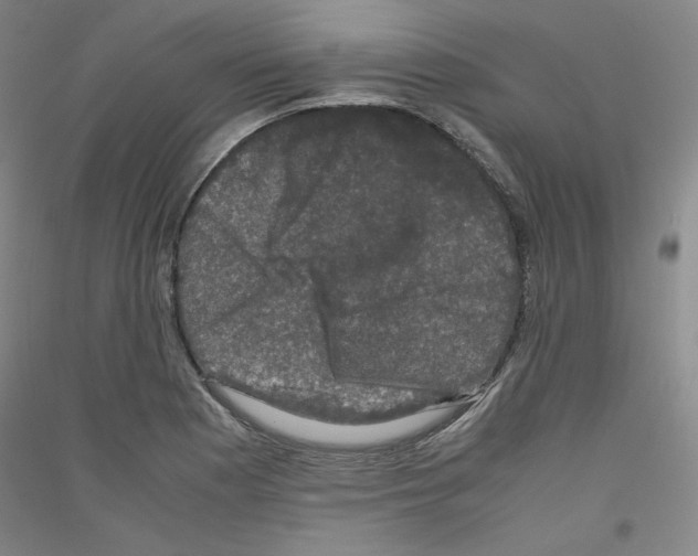 X0000116781177201001281115