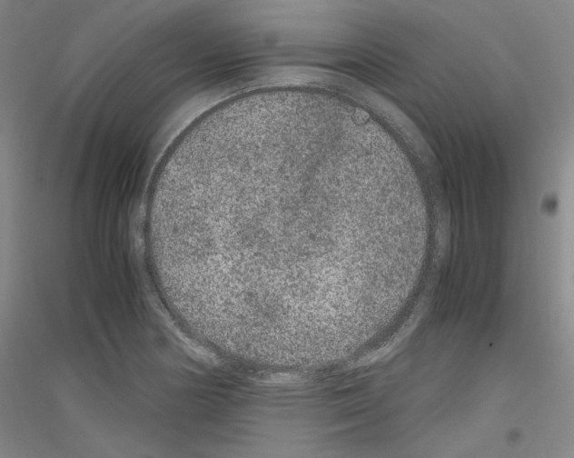 X0000116781178201001281115