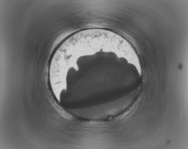 X0000116781179201001281115