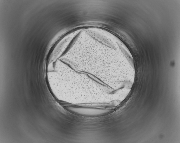 X0000116781180201001281115