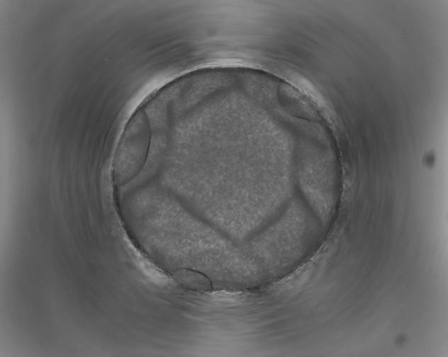 X0000116781181201001281115