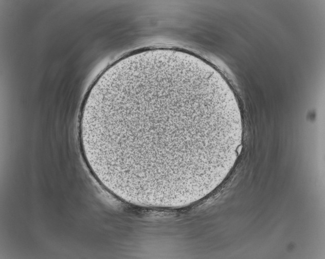 X0000116781183201001281115