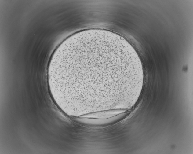 X0000116781184201001281115