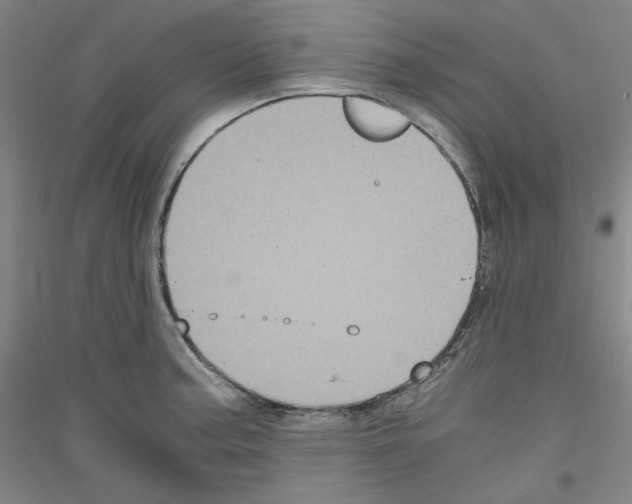 X0000116781187201001281115