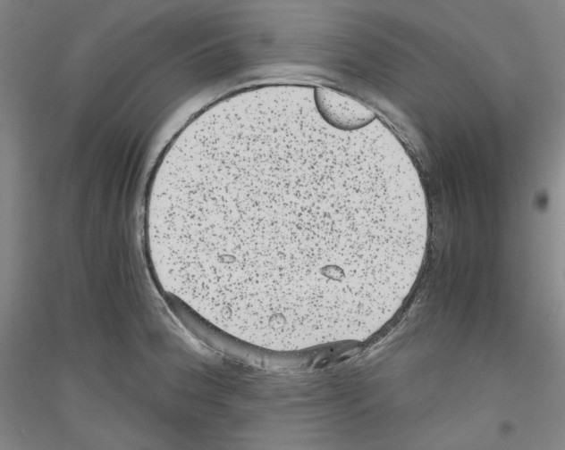 X0000116781188201001281115