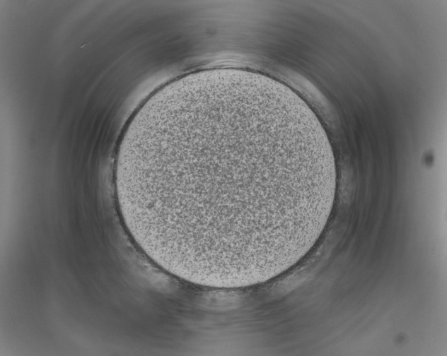 X0000116781190201001281115