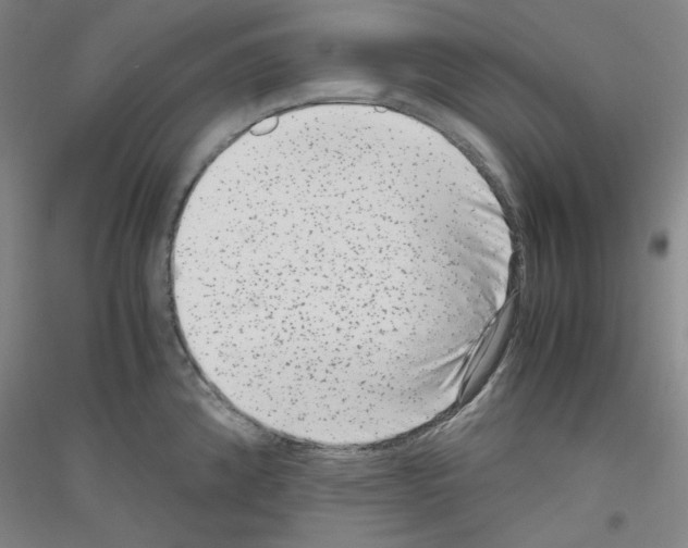 X0000116781192201001281115