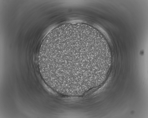 X0000116781193201001281115