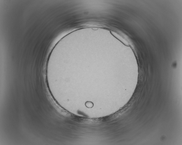 X0000116781195201001281115