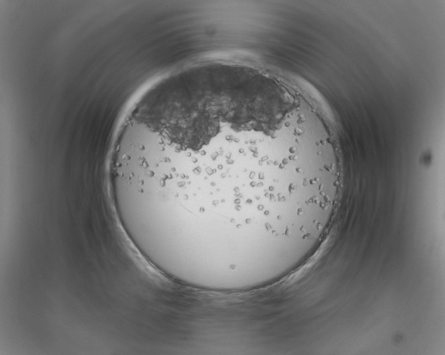 X0000116781196201001281115